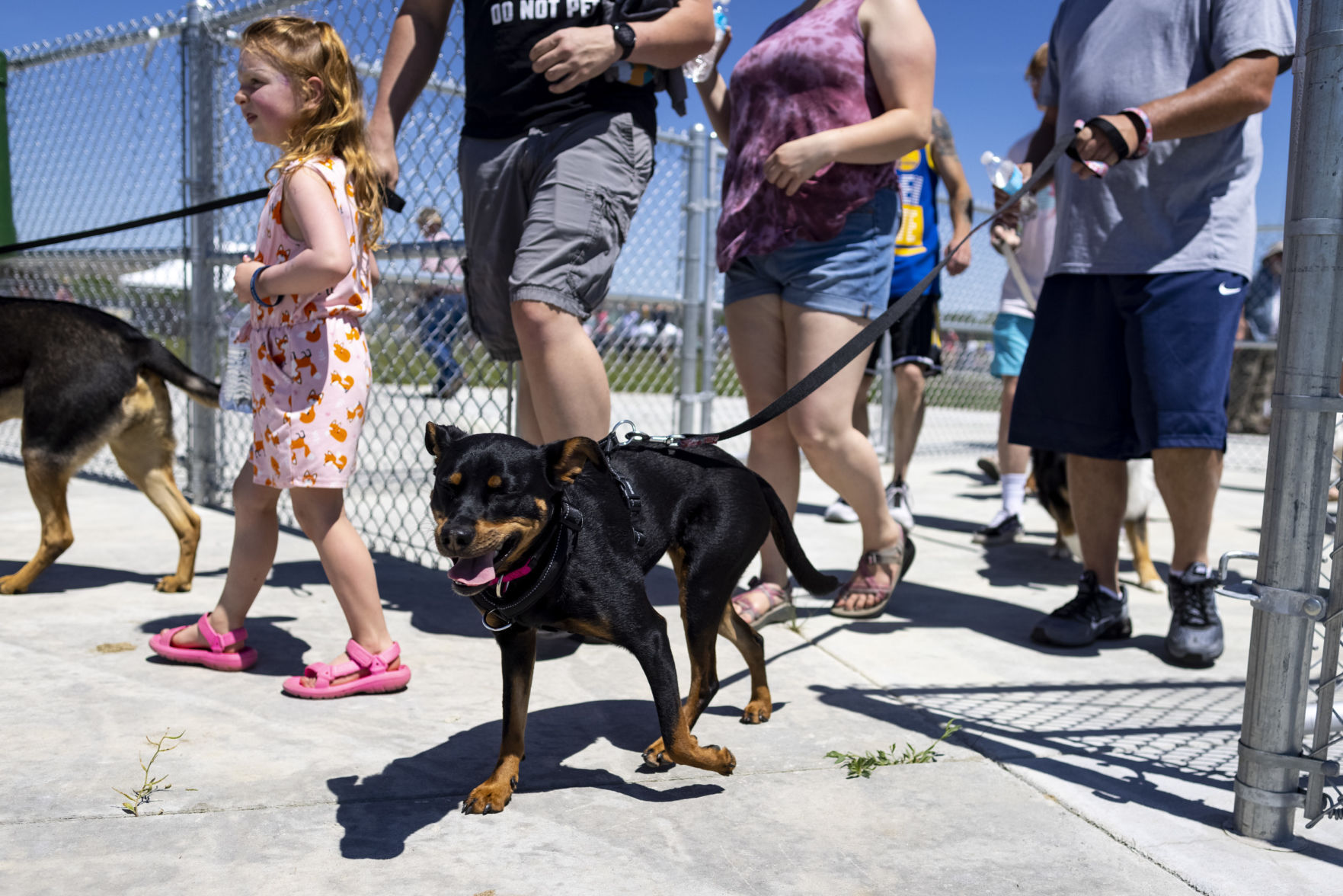 Centennial Dog Park